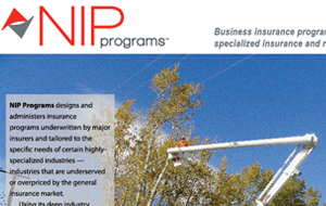 NIP Programs Tabletop Display